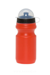 sport bottle 2. picture